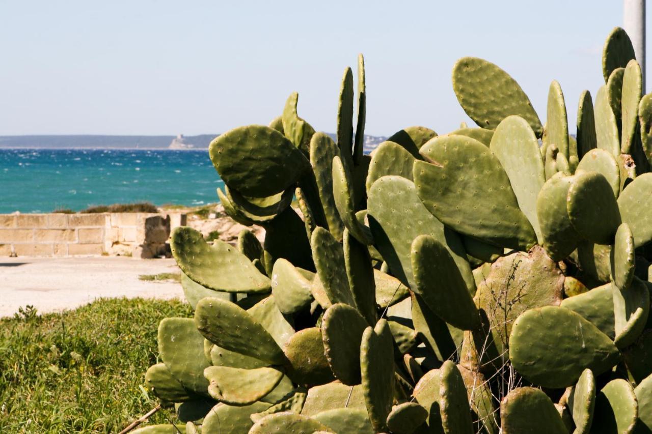 Il Corallo casa vacanze Gallipoli Esterno foto